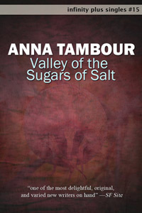 Valley of the Sugars of Salt by Anna Tambour